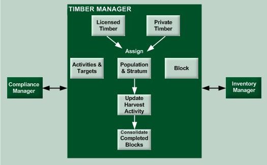 timber2a